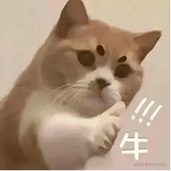 640.gif