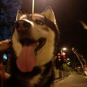 三水淼水水水的个人资料头像