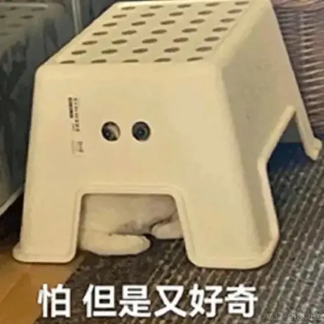 BIUBIUBIUUP于2023-04-17 16:30发布的图片