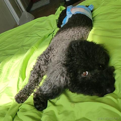 璇天凤舞于2023-05-15 03:04发布的图片