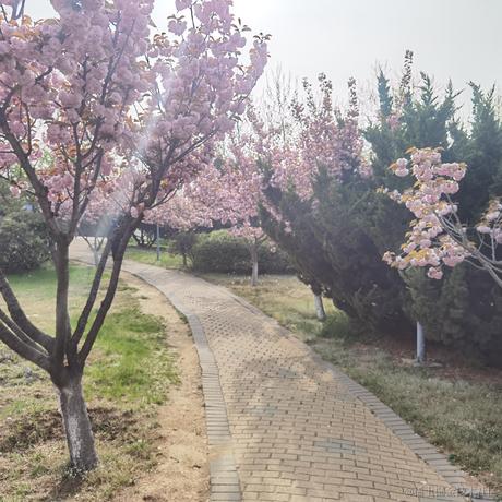 蒸虾头于2023-06-27 11:31发布的图片