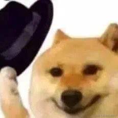 维尼wmw于2022-12-31 18:59发布的图片