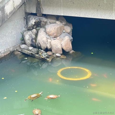 唧唧絮絮于2023-04-17 09:10发布的图片