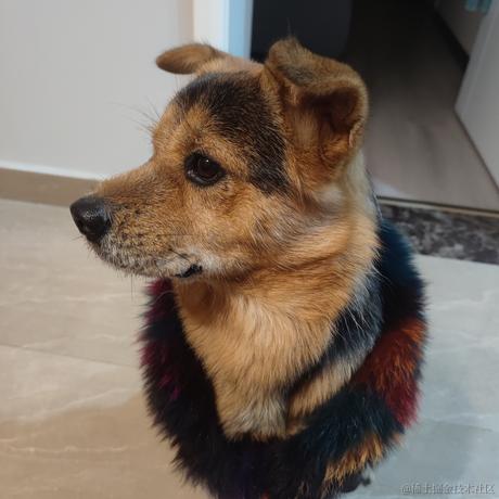 嘉宾可以上来了于2023-01-10 18:20发布的图片