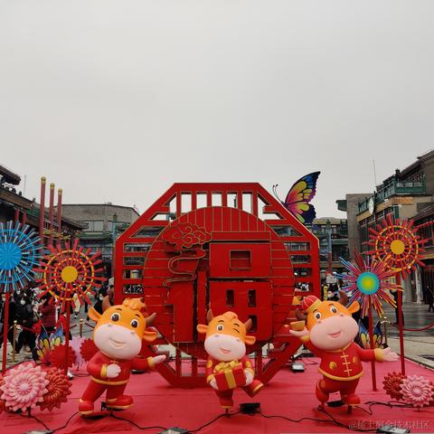 drguo于2021-02-18 11:09发布的图片