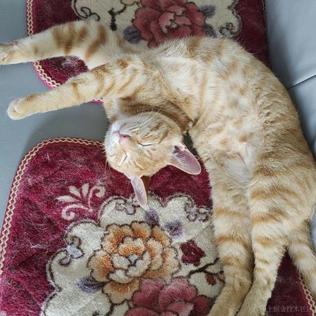 柯西西西于2023-05-19 15:51发布的图片