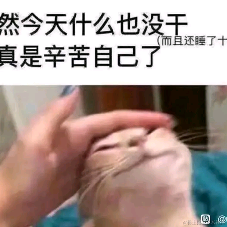 犹豫的洋葱于2023-07-07 22:42发布的图片