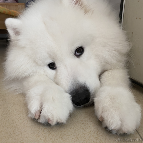 小团团于2020-09-24 09:05发布的图片