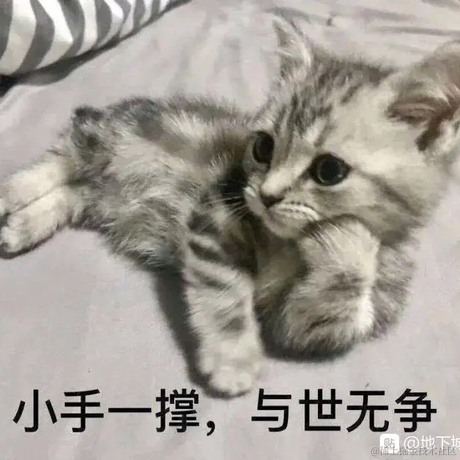 不如山中做妖怪于2022-03-04 10:09发布的图片