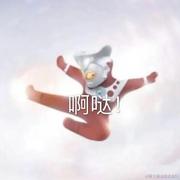 番茄味的土豆泥的个人资料头像