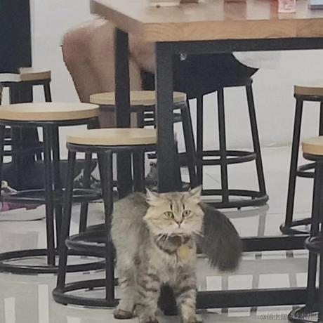 向晚大猪猪于2023-07-01 17:22发布的图片