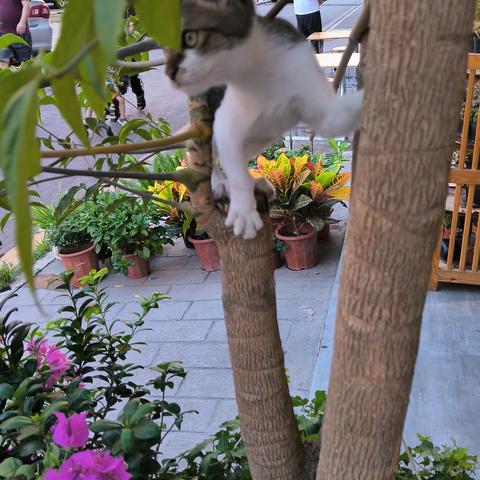 今天吃嘉晚饭于2022-11-15 17:10发布的图片