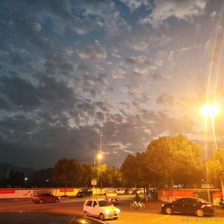 贝拉拉布拉多于2022-11-09 21:27发布的图片