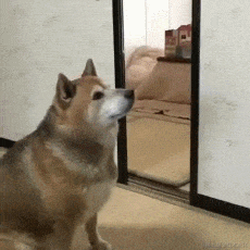 琪官于2021-06-25 09:18发布的图片