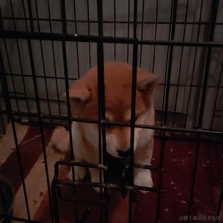 前端少年汪于2024-01-10 09:22发布的图片