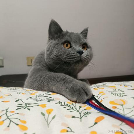 尤依莉于2022-06-17 15:12发布的图片