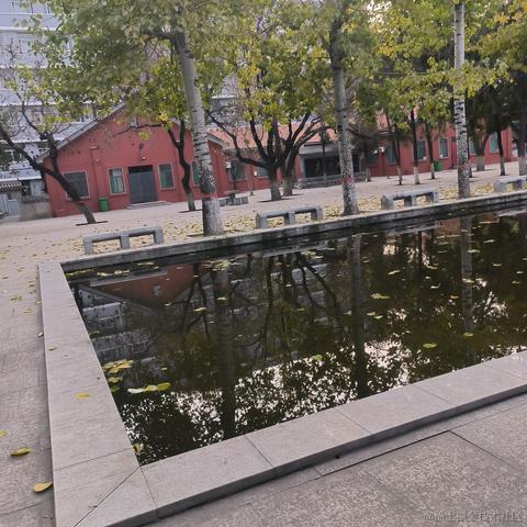 彧琰勳瑛于2022-11-20 15:59发布的图片