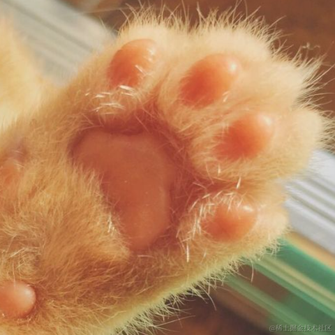 Coredump于2021-09-26 18:10发布的图片