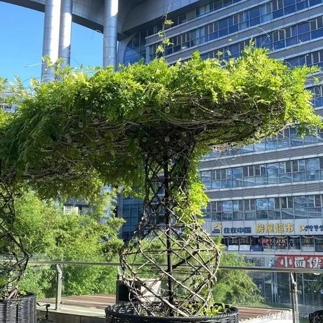 掘金齐天大圣于2023-05-16 20:24发布的图片