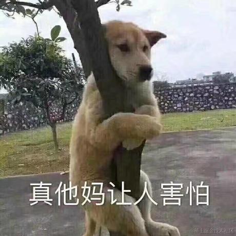 马尾于2021-05-17 08:30发布的图片
