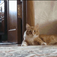 牛的于2023-08-16 08:56发布的图片