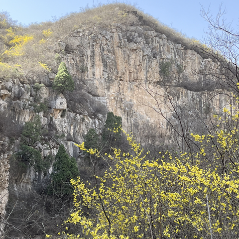 codeniu于2023-03-14 08:32发布的图片