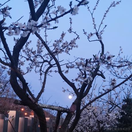 小温同学的账号于2022-04-16 19:03发布的图片