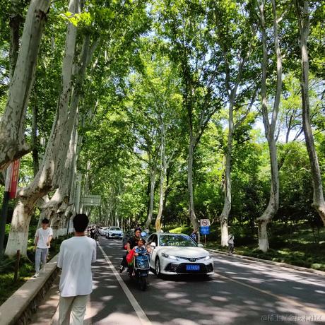 吟末于2023-05-15 09:07发布的图片