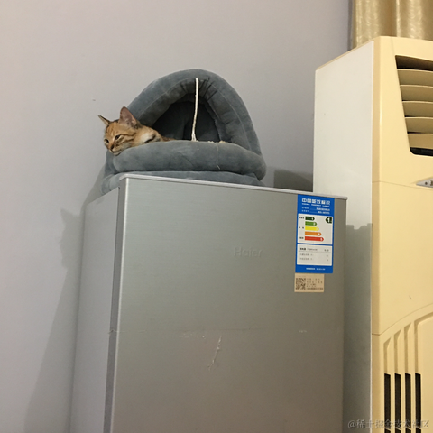 落地请打代码于2020-10-10 20:00发布的图片