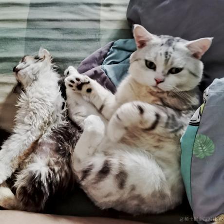 卖女柴的小火孩于2023-05-14 23:36发布的图片