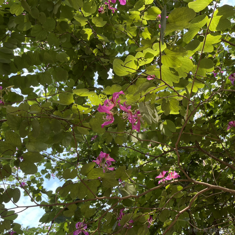 神奇的程序员于2021-11-27 14:14发布的图片