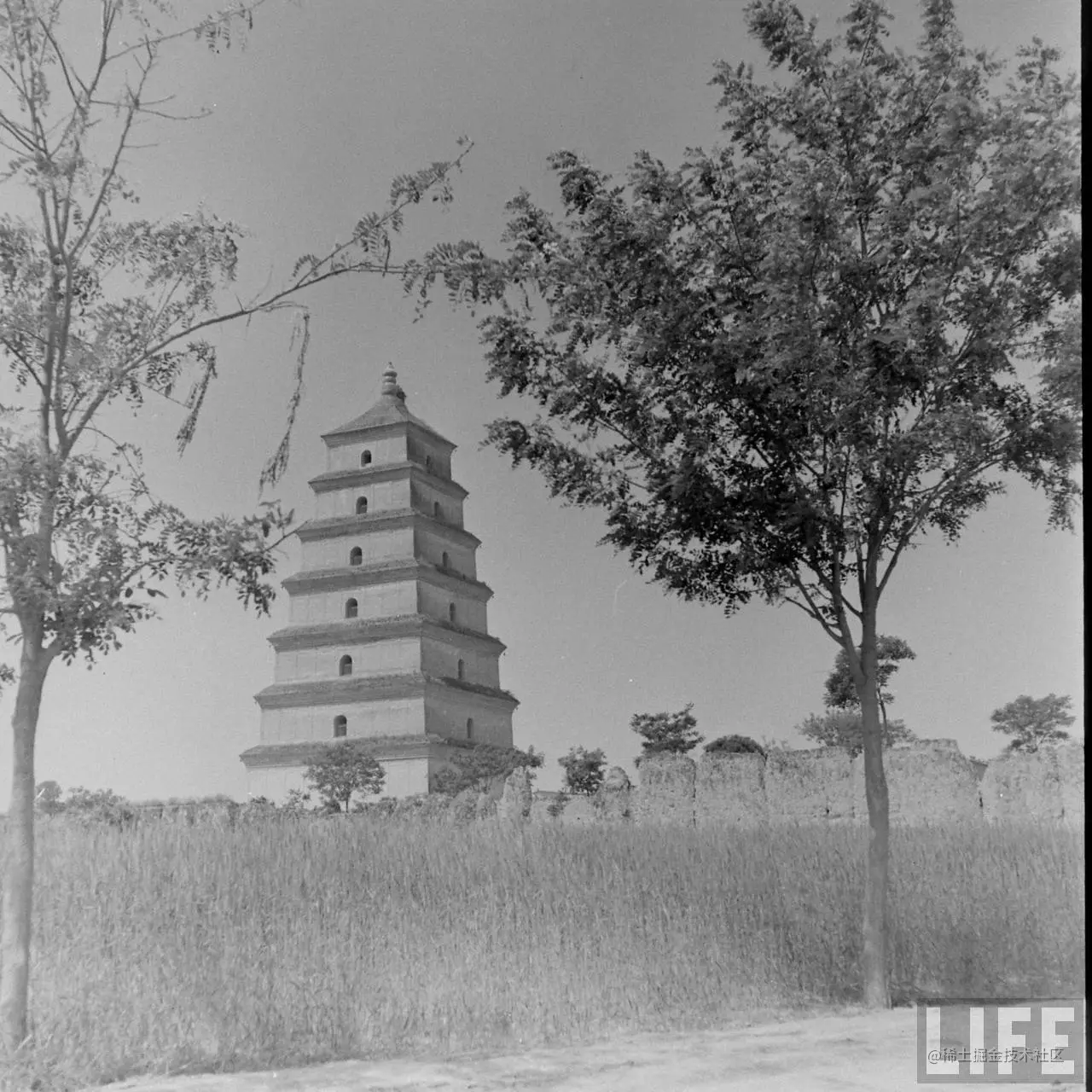 1947年，陕西西安。大雁塔。4.jpg