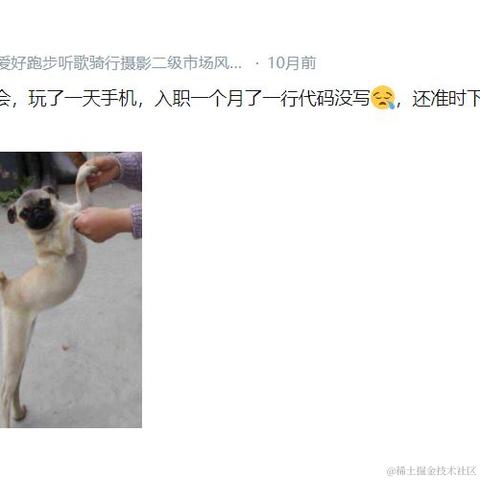 林子歌于2021-04-20 14:37发布的图片