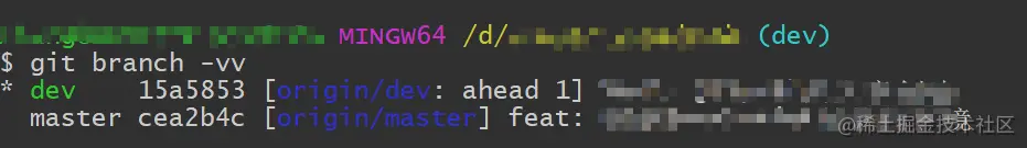 git branch -vv