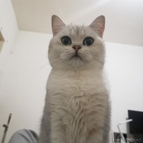 一光光一于2022-12-02 08:11发布的图片