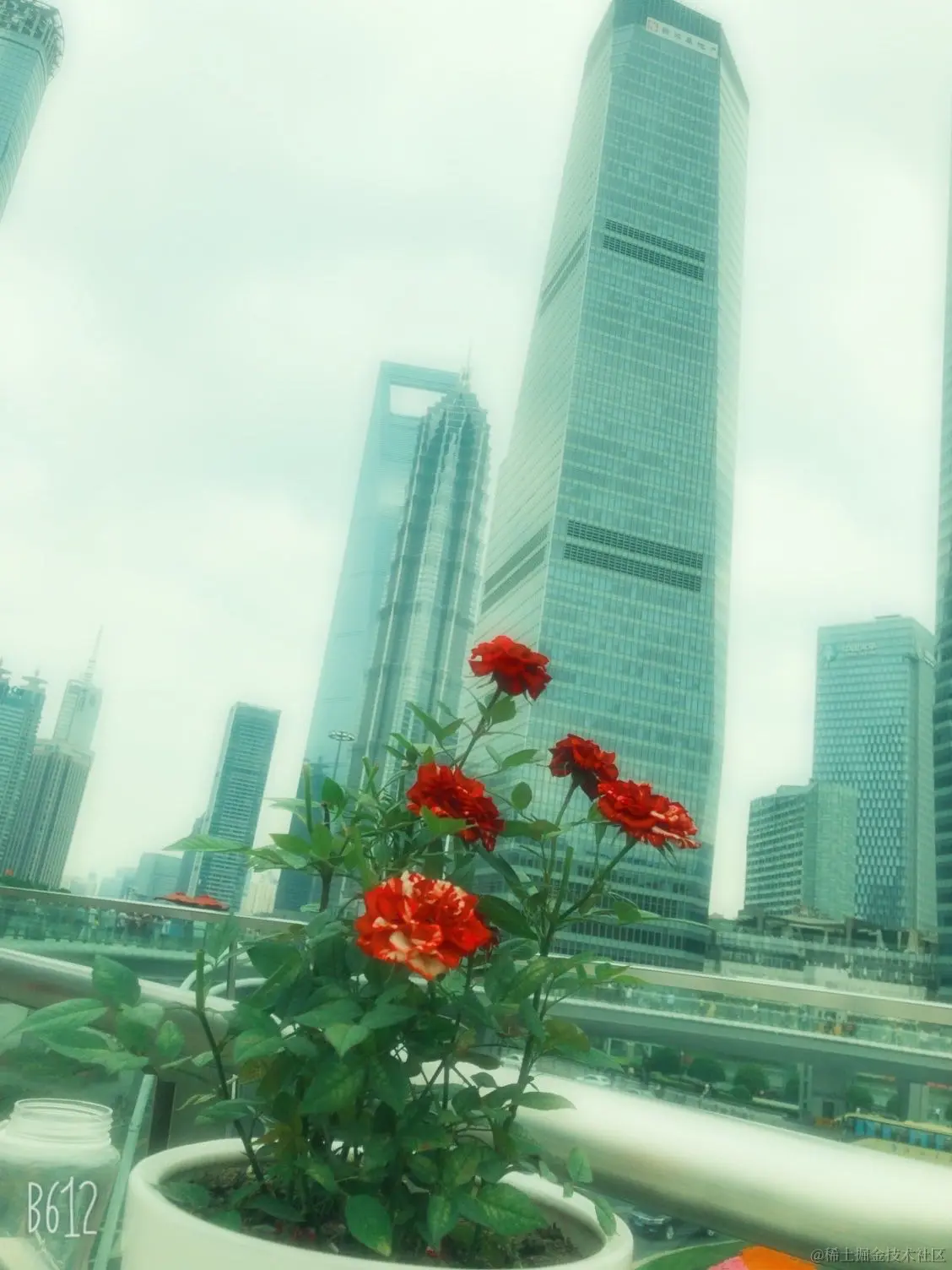 df73f0479ff32a6fa5b84b35bff9ecf.jpg