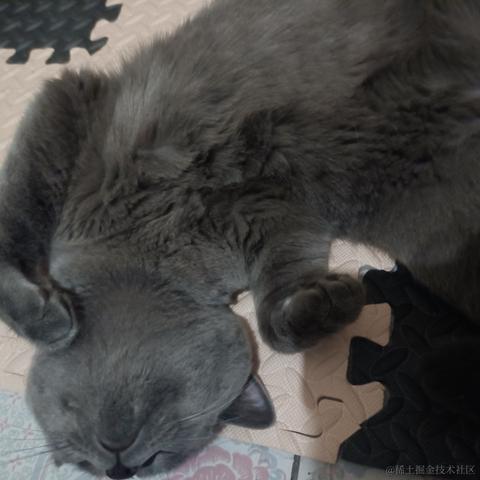 然比然比妈妈爱你于2022-12-16 16:18发布的图片