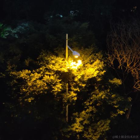 蓬蒿烂人于2022-11-19 12:19发布的图片