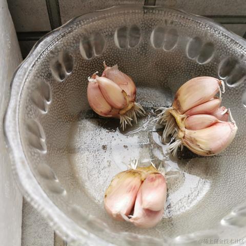 vileewills于2022-10-20 01:27发布的图片