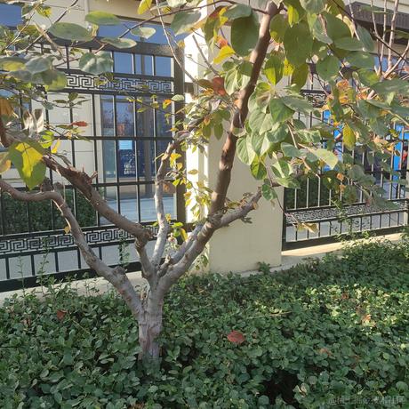 610单推人于2022-11-28 08:50发布的图片