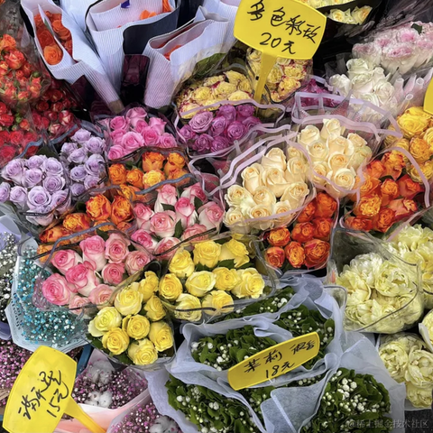 已注销于2021-04-14 18:34发布的图片