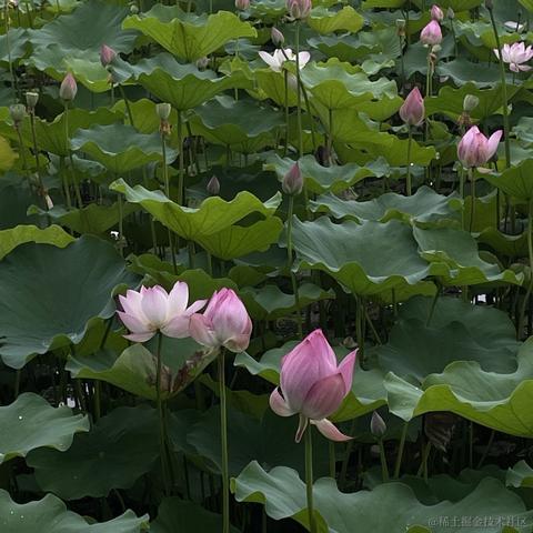 睡个好觉_于2023-06-19 12:34发布的图片