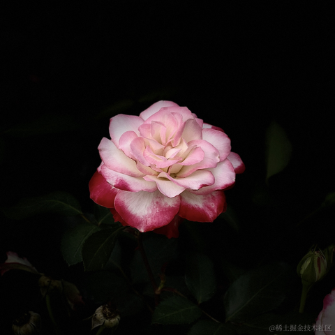 _一杯冰美式_于2023-03-21 10:05发布的图片