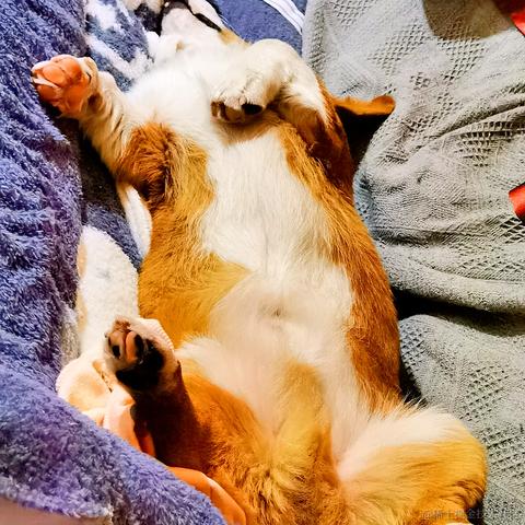 牛肉烧板黎于2020-12-18 08:19发布的图片