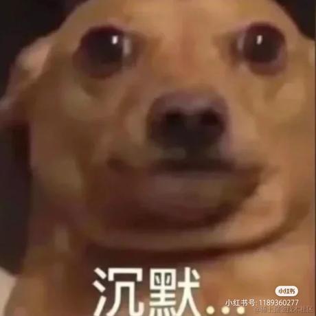 coder881于2022-05-22 20:42发布的图片