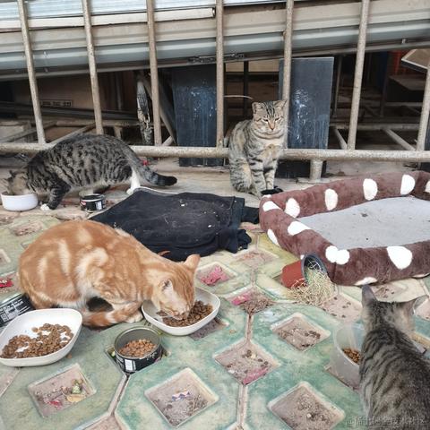 西米酱米西于2022-11-10 16:51发布的图片