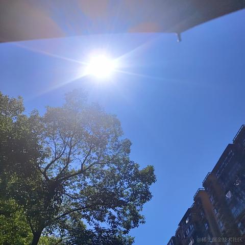 星_星于2024-07-05 14:10发布的图片