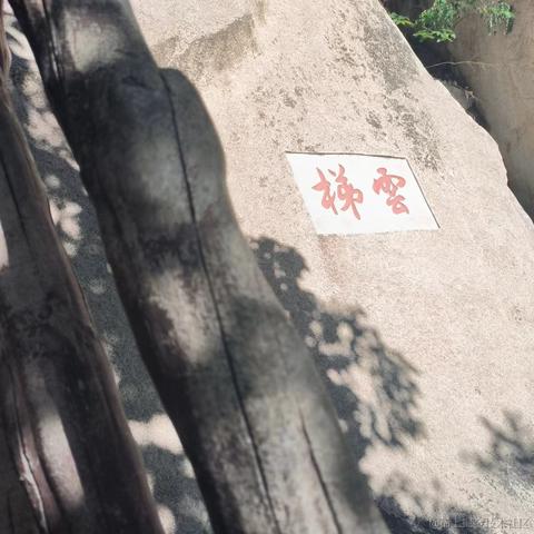 前端阿彬于2023-10-16 10:55发布的图片