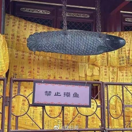 魔芋中央豆腐于2022-02-18 10:07发布的图片