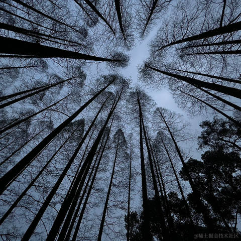 wsq于2023-04-11 20:48发布的图片